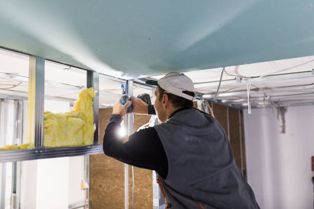 Best Home Insulation Services  in Riverside, IA