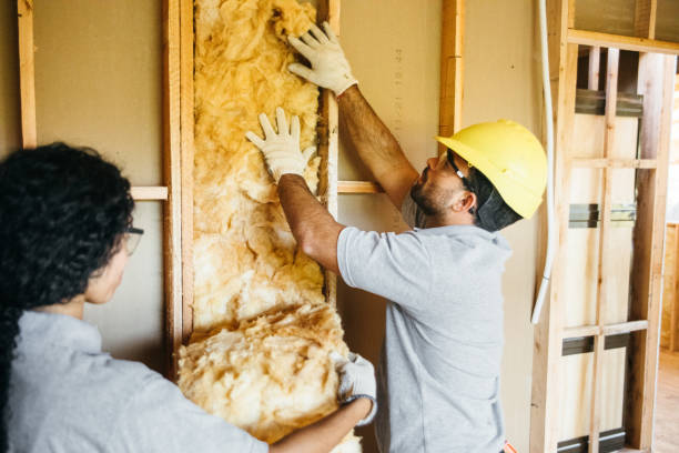 Best Professional Insulation Contractor  in Riverside, IA