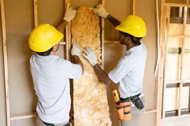 Trusted Riverside, IA Insulation Contractor Experts